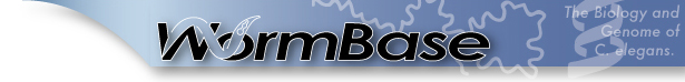 image:image_new_colour.jpg