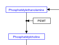 Image:Enzyme.png