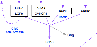 Image:Sm-contraction_hub2.png
