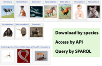 Download