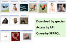 Download