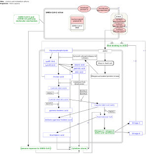 Linoleic acid metabolism affected by SARS-CoV-2