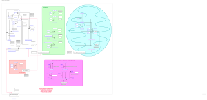 Vitamin B3 (niacin), NAD and NADP biosynthesis pathway