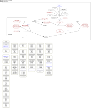 Metabolism of non-coding RNA