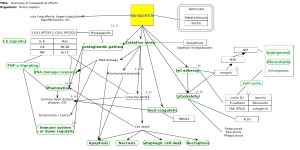 Overview of nanoparticle effects