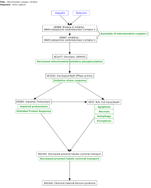 Mitochondrial complex I inhibition leading to chemical-induced Fanconi syndrome