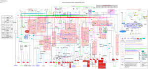 VEGFA-VEGFR2 signaling