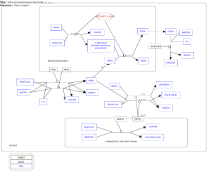 Wax and plasmalogen biosynthesis