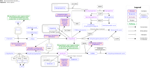 Neurotransmitter disorders
