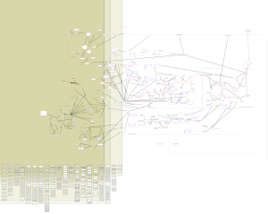 SARS-CoV-1 Infection