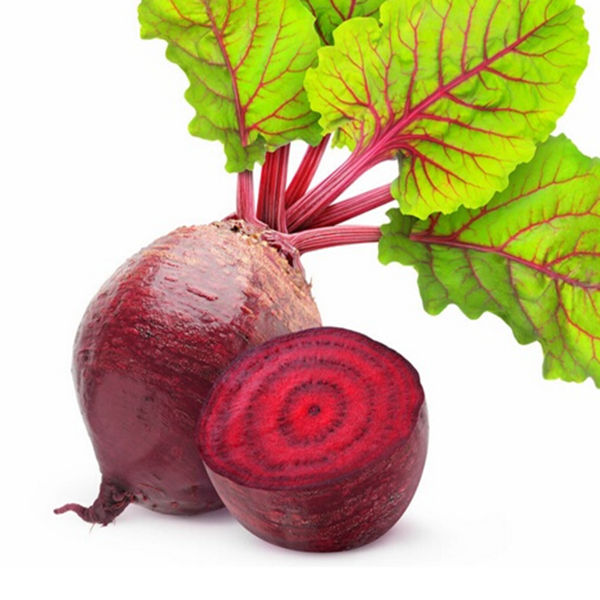 Image:Beta-Vulgaris.jpg