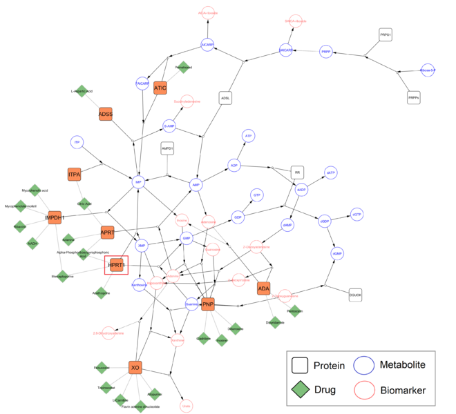 Image:NetworkAnalysisPurine.png