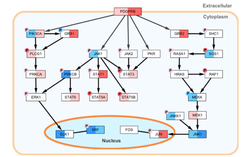 WikiPathways styled in Cytoscape