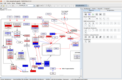 PathVisio visualization