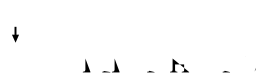 Image:WP-Logo-Horizontal-1-2inch.svg