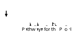 Image:WP-Logo-Horizontal.svg