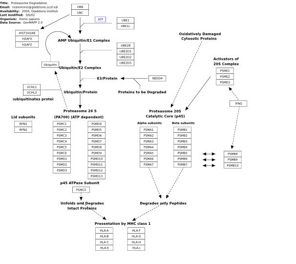 Image:WP183 13111.svg