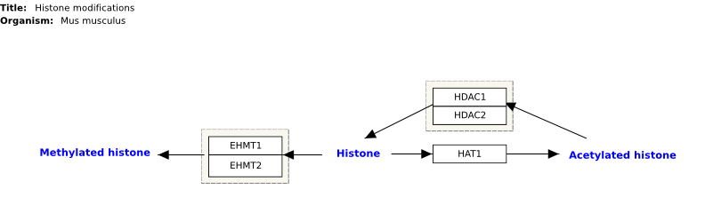 Image:WP300 21311.svg