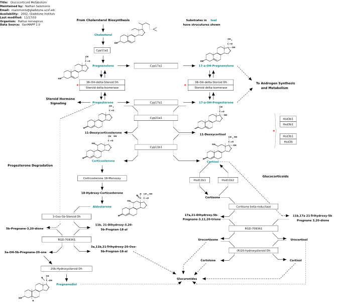 Image:WP305 19475.svg
