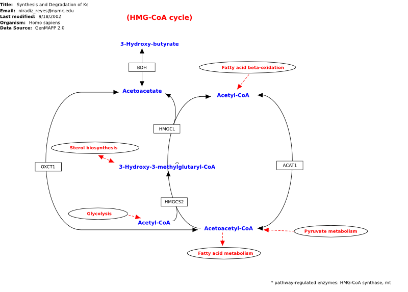 Image:WP311 7401.svg