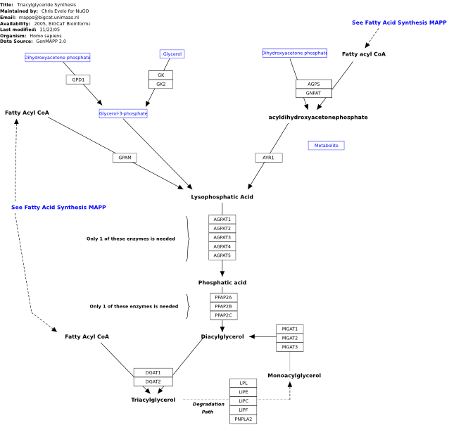 Image:WP325 14565.svg