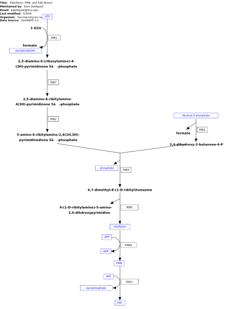 Image:WP381 21480.svg