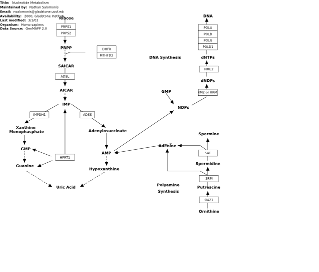 Image:WP404 11557.svg