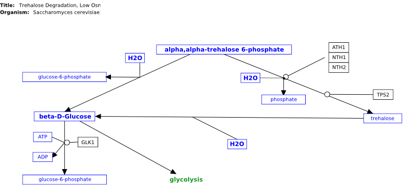 Image:WP70.svg