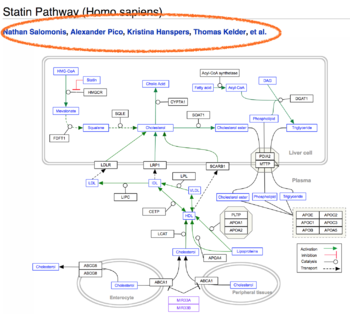 WikiPathways Authorship