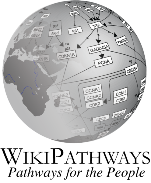 Image:Wikipathways logo text 500.png